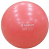 Фитбол гладкий Gymnastic Ball / RB265 21век