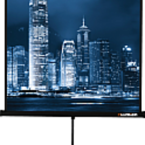 Проекционный экран Master View 220x220 / LMV-100111 21век