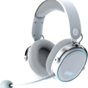 Наушники-гарнитура OHR303 / ZL.HDSEE.00A 21век