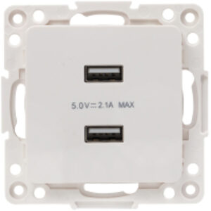 Розетка PROxima Стокгольм EYR16-028-10-2USB 21век