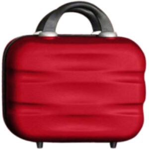Кейс для косметики PTN 5806-K-M 21век