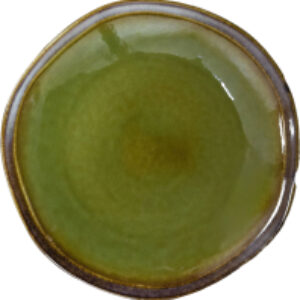 Тарелка столовая обеденная Verde HL496960 / фк0707 21век