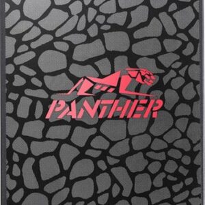 SSD Apacer Panther AS350 128GB AP128GAS350-1