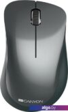 Мышь Canyon CNE-CMSW11B