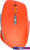 Мышь Canyon MW-21 (огненно-красный)