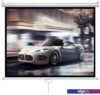 Проекционный экран Future Vision Business 300 300x218 W300WMW
