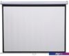 Проекционный экран Future Vision Cinema 270x152 W270HMW