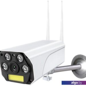 IP-камера Ritmix IPC-270S