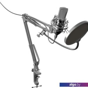 Микрофон Ritmix RDM-169
