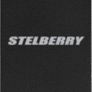 Микрофон Stelberry M-500
