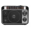 Радиоприемник Ritmix RPR-171