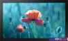 Интерактивная панель Samsung QB13R
