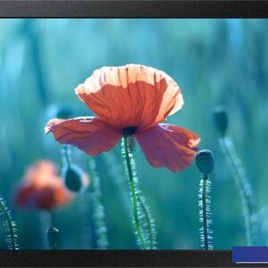 Интерактивная панель Samsung QB13R