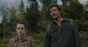 Во втором сезоне The Last of Us расскажут предысторию «одного важного персонажа»