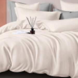 Комплект постельного белья №12-1106 TPX 2.0 с европростыней 21век