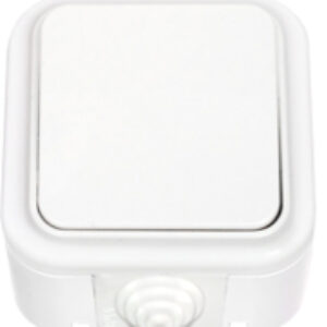 Выключатель Пралеска Аква А1 4-100 21век