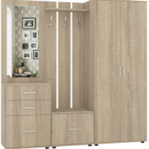 Секция в прихожую Визит-4 21век