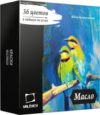 Масляные краски 520011 21век
