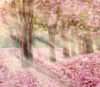 Фотообои листовые Сказочная природа 5 21век