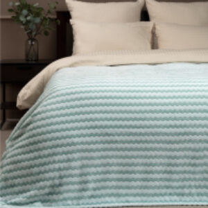 Плед Absolute Зигзаг двухцветный Flannel 200x220 / 92577 21век