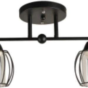 Потолочный светильник BL-15158/2 BK 21век