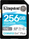 Карта памяти Canvas Go Plus SDXC (Class10) 256GB (SDG3/256GB) 21век
