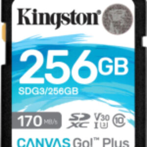 Карта памяти Canvas Go Plus SDXC (Class10) 256GB (SDG3/256GB) 21век