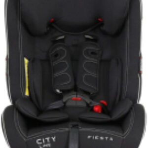 Автокресло Fiesta City Line / 1029A 21век