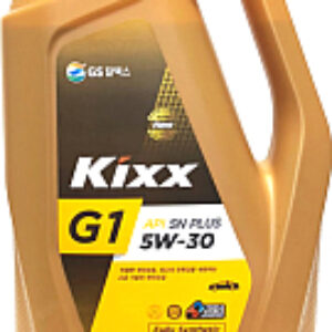 Моторное масло G1 SN Plus 5W30 / L2101350E1 21век