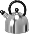Чайник Hijken MR3-838 21век