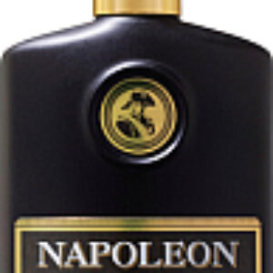 Одеколон Napoleon Strateg For Men 21век