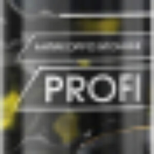 Мастика автомобильная Profi / SL0106 21век