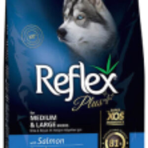 Сухой корм для собак для средних и крупных пород с лососем 21век