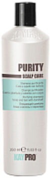 Шампунь для волос Scalp Care Purity очищющий от перхоти 21век