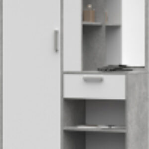 Секция в прихожую Денвер 21век