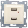 Розетка Ugra С11USB2-003 21век