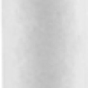 Картридж для фильтра 10SL 5 микрон / 499 21век