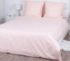 Комплект постельного белья Персик 1.5сп 21век