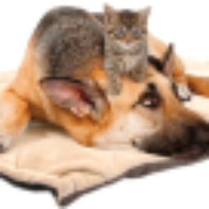 Матрас для животных Флекта / 4198011/DV 21век