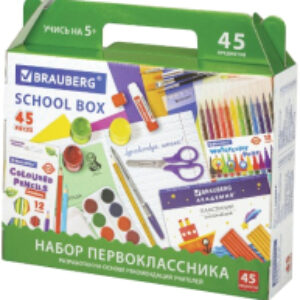 Набор школьника Первоклассник / 880122 21век