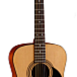Акустическая гитара AF 510 OP 21век