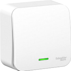 Выключатель Blanca BLNVA061111 21век