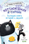 Книга Котенок Шмяк и Сырник. Большая книга историй о дружбе 21век