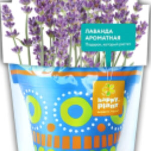 Набор для выращивания растений Лаванда ароматная / hpd-2 21век