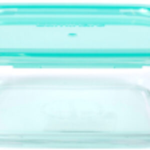 Контейнер Keep n Box Lagon P5522 21век