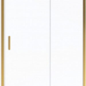 Душевая дверь NG-42-12AG 120x195 21век