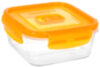 Контейнер Pure Box Active P4566 21век