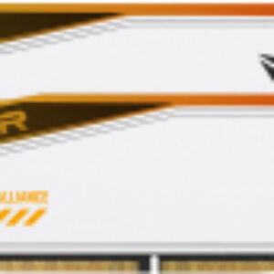 Оперативная память DDR5 PVER548G66C34KT 21век