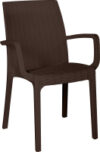 Стул пластиковый Rattan Ola Dom 21век