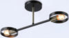 Потолочный светильник Traditional TR8225/2 BK/SB 21век